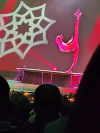 Amazing Acrobats on Stage