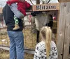 We took our grandkids and they loved it ! We loved it ! The best Santa & mrs claus we have ever seen ! We decorated a cookie & made a toy along with them , the elves were all so nice and fun !! The best time we had in a very long time !XYZCathy Henrickson - Vilonia , AR