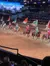 Arena