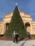 Christmas Tree Outside