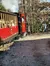 A vintage steam train with red carriages travels along a wooded track, with passengers enjoying the ride.