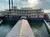 The Boat