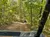 The image shows a dirt path through a lush, green forest, viewed from the driver's seat of an off-road vehicle.