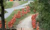 A pathway through a wooded area is lined with stacks of carved pumpkins, creating a festive display.