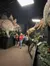 A group of people are playfully posing and running in a museum exhibit featuring large dinosaur models.
