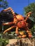 Jack-o-Lantern Spider at Silver Dollar City