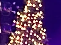 The image shows a festive stage performance with musicians and singers in front of an audience, decorated with Christmas trees and colorful lighting.