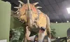 A bearded man wearing a vest and cap stands next to a large dinosaur exhibit in a museum setting.