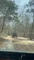 Two off-road vehicles are parked on a rocky trail in a forested area with a small puddle nearby.