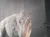The image shows a large, detailed dinosaur model on display, resembling a Tyrannosaurus rex.