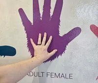 This was our first time doing an escape room so we werent totally sure what to expect. The set up is great, it wasnt too hard, wasnt too easy. Once we were done with the escape room, we had fun at the arcade for a couple of hours, which was also great.XYZRachel Myers - Carterville, Illinois