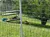 Two lions are resting within a fenced grassy enclosure, with one on a platform and the other lying on the ground in the shade of a tree.