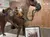 The image shows a museum display featuring a horse mannequin equipped with a gas mask and military gear, alongside a vintage poster encouraging enlistment in the cavalry.