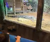 The kids could have spent all day at this place they loved it! XYZAmanda Cooley - Dequincy, La