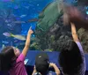 Its an amazing place You get to touch the stingrays and a shark My kids loved it hereXYZEsther Ibarra - Wichita, Kansas