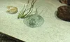 A stingray is gliding through a shallow, clear aquarium surrounded by rocks and aquatic plants.