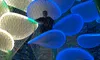 Two people are climbing a netted structure resembling large illuminated leaves in vibrant colors.