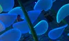 The image shows children climbing on a netted structure with large, illuminated blue platforms inside a play area.