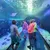 People are walking through an underwater tunnel in an aquarium, surrounded by various sea creatures.