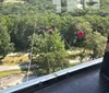 Great views. Seated harness, not a parachute harness. Very comfortable. Elevator to the top, not stairs. Can be done by people with mild disabilities ie: fibromyalgia, EDS, rheumatoid arthritis etc.. Need to go down 2 short flights of stairs right before  right after ride. Exhilarating 45-50 seconds.XYZJulie Nootbaar - Lowell, Indiana