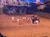 A live performance features cowboys on horses herding cattle on a stage with a scenic Western backdrop.