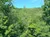 The image captures a scenic view of lush green trees under a clear blue sky.