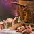 Camels at Noah the Musical at Sight and Sound Theatres Branson 