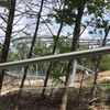 Branson's Copperhead Mountain Coaster