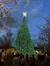 Silver Dollar City - The lights were the BEST I have ever seen.