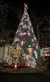 Silver Dollar City Town Square.