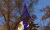 Lighted Tree at Silver Dollar City