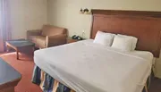 The image shows a hotel room with a large bed, brown couch, and a side table with a telephone.