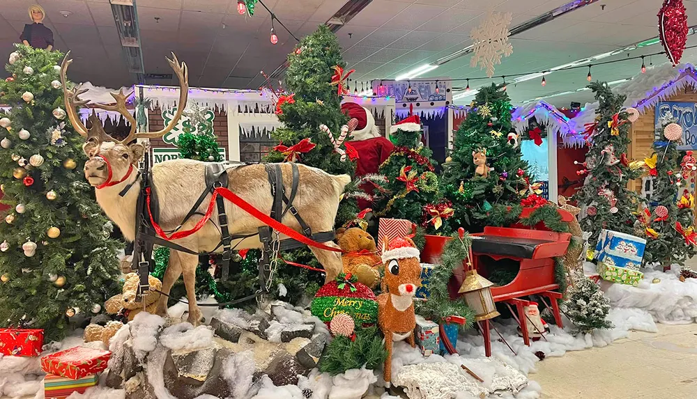 The image shows a festive Christmas display with a life-sized reindeer figure decorated trees presents and fake snow creating a holiday scene
