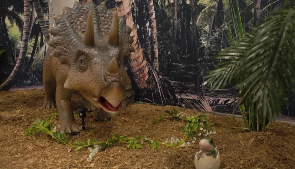 A life-like model of a Triceratops dinosaur is displayed in a setting that resembles a prehistoric environment