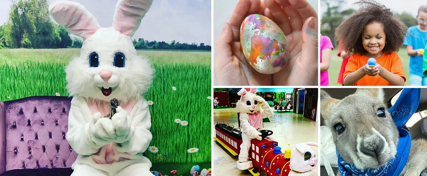Easter Bunny Experience