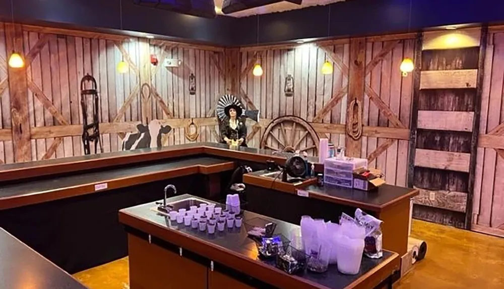 The image shows a western-themed bar setup with a person wearing a large hat evoking a cowboy aesthetic behind the counter surrounded by wooden walls and rustic decorations