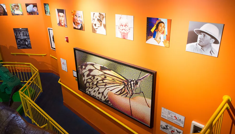 The image shows a brightly colored gallery with various pieces of artwork and photographs adorning orange walls accompanied by a yellow staircase railing on the left
