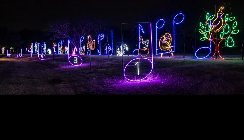 The image shows a nighttime display of colorful holiday lights arranged in a sequence depicting The Twelve Days of Christmas