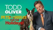 A man and a dog wearing ties are featured in a promotional image with text that reads 