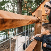 Shepherd’s Pumpkin Fest
