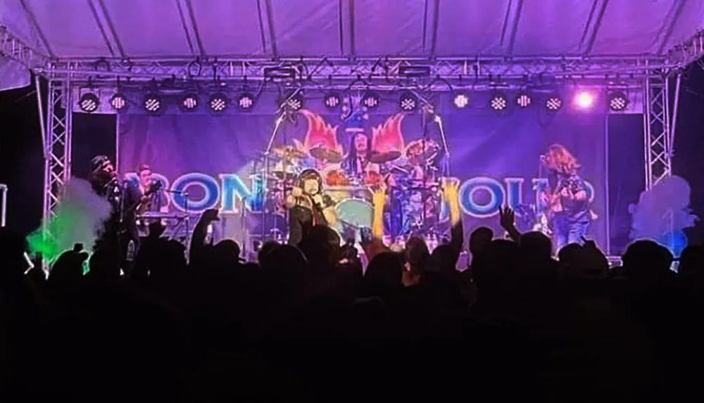 A band is performing energetically on a lit stage with a cheering crowd in the foreground