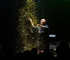 A person skillfully fans a deck of cards accompanied by a glowing review saying World-Class Magic from the Las Vegas Review Journal