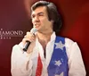 The image shows a performer dressed in a star-spangled outfit singing with a microphone next to the text A Neil Diamond Tribute