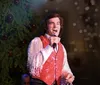 The image shows a performer dressed in a star-spangled outfit singing with a microphone next to the text A Neil Diamond Tribute