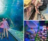 A family enjoys an underwater tunnel at an aquarium with text promoting exhibits like jellyfish and sharks and featuring an inset image of a colorful octopus sculpture and fountains