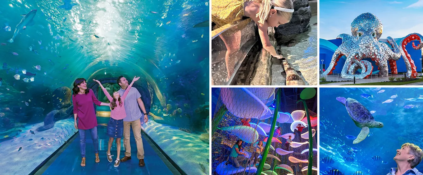 Branson Aquarium at the Boardwalk