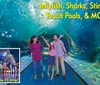 A family enjoys an underwater tunnel at an aquarium with text promoting exhibits like jellyfish and sharks and featuring an inset image of a colorful octopus sculpture and fountains