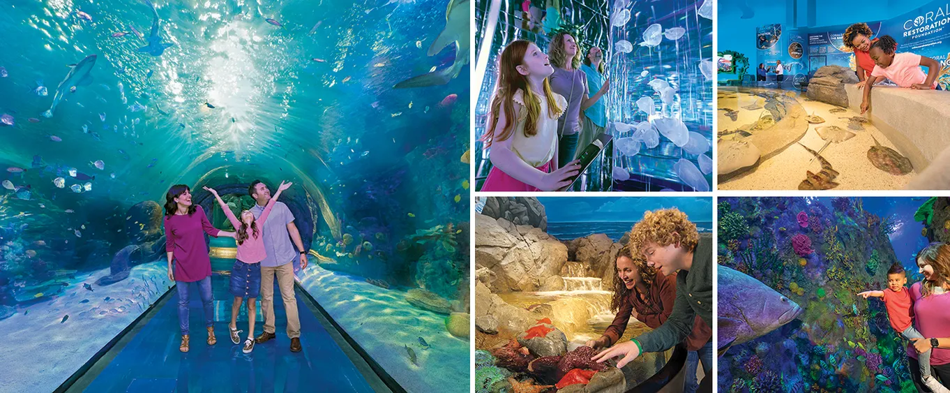 Branson Aquarium at the Boardwalk