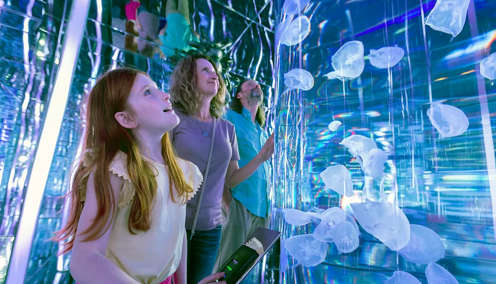 A family is admiring jellyfish in an aquarium with mirrored surroundings