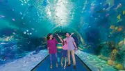 A family is joyfully exploring an underwater tunnel surrounded by colorful marine life in an aquarium.